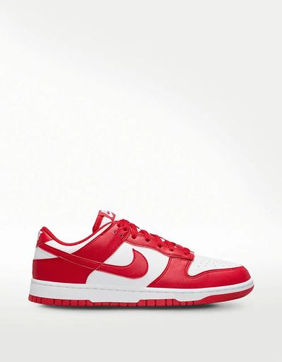 TENIS NIKE DULONEXT NATURE