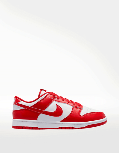 TENIS NIKE DUNK LOW RETRO