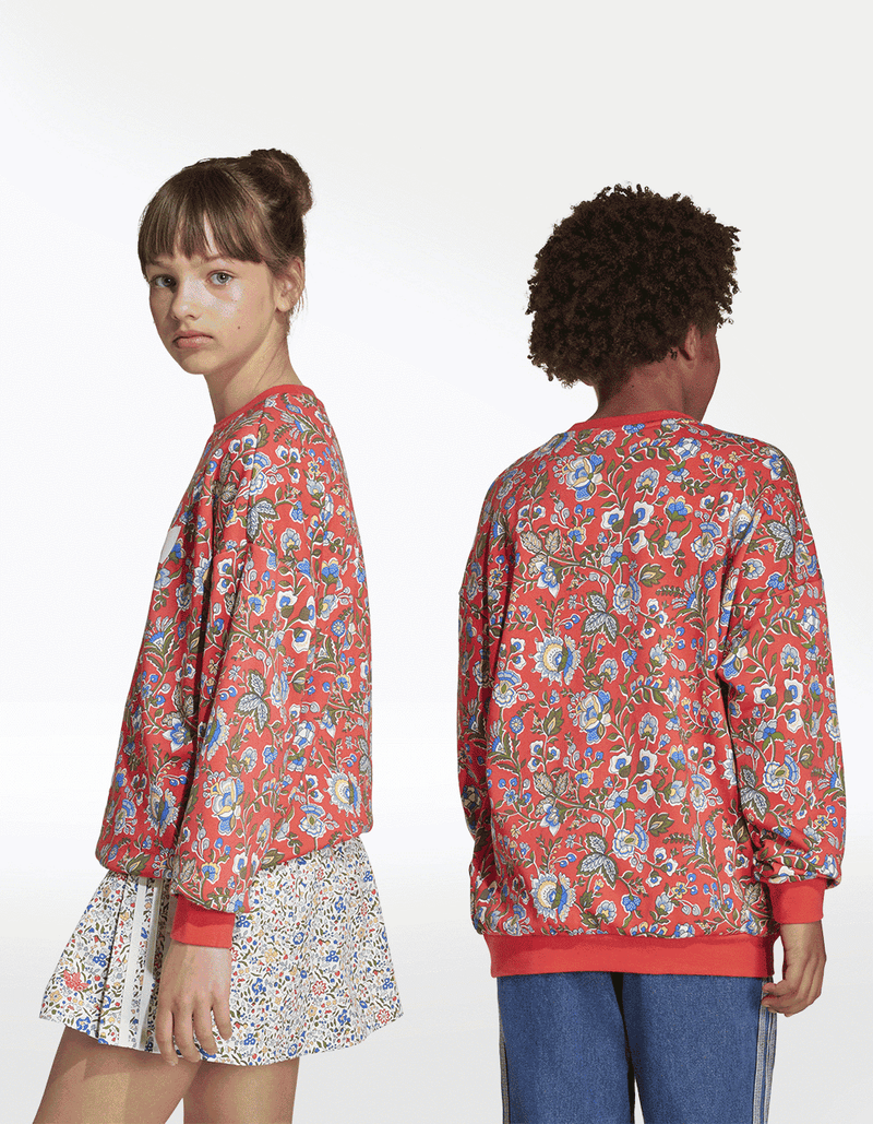 JV7827_7_APPAREL_On-Model_Standard-Unisex-Back-View_transparent
